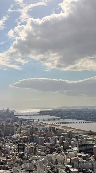 大象传媒贴吧-探索大象传媒贴吧的独特魅力与文化交流